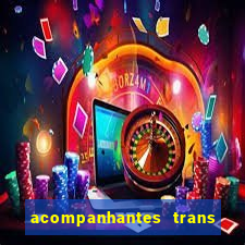 acompanhantes trans baixada fluminense